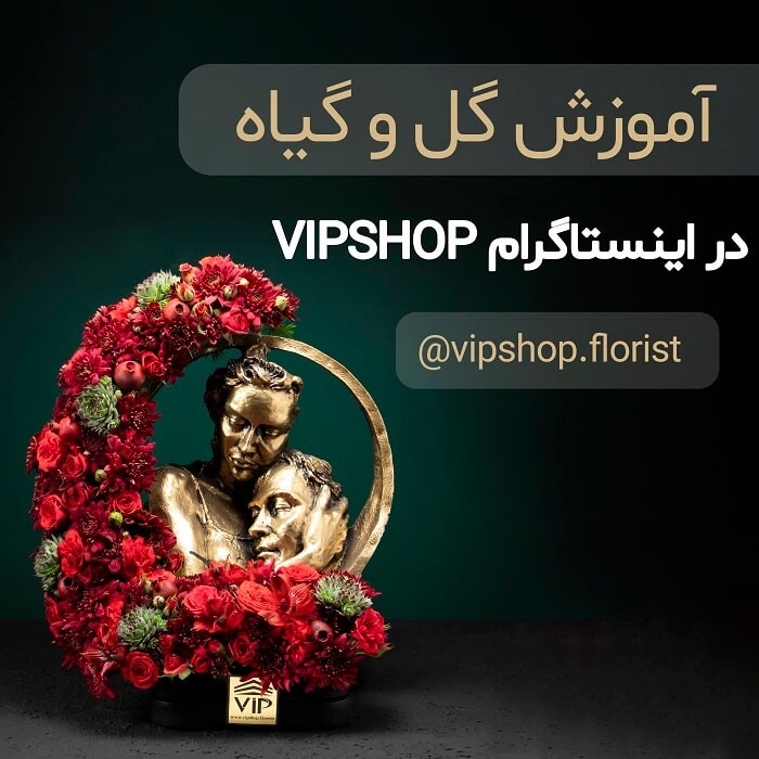 پیج اینستاگرام گل فروشی آنلاین VIP Shop