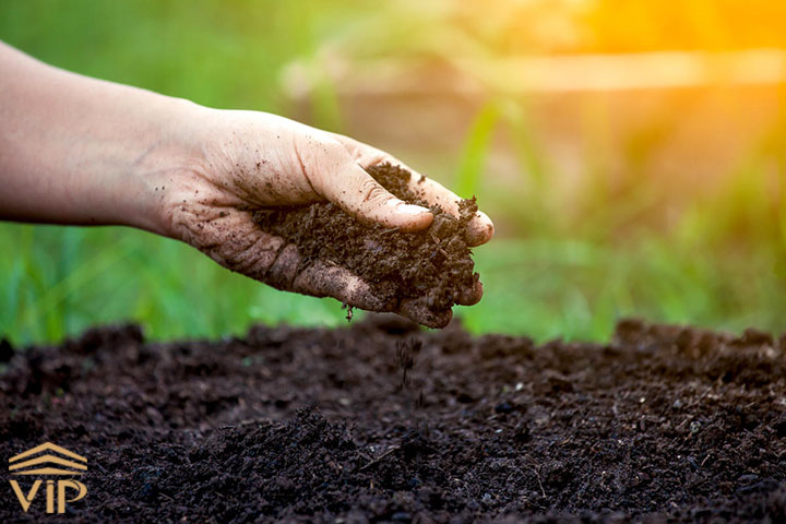 خاک مناسب برای تقویت گیاه سیکلامن