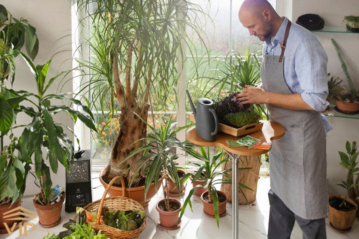 چیدمان گیاهان با ساخت یک باغچه در خانه