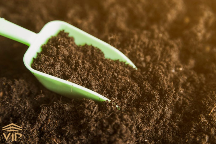 خاک عاملی مهم برای تقویت گیاهان آپارتمانی