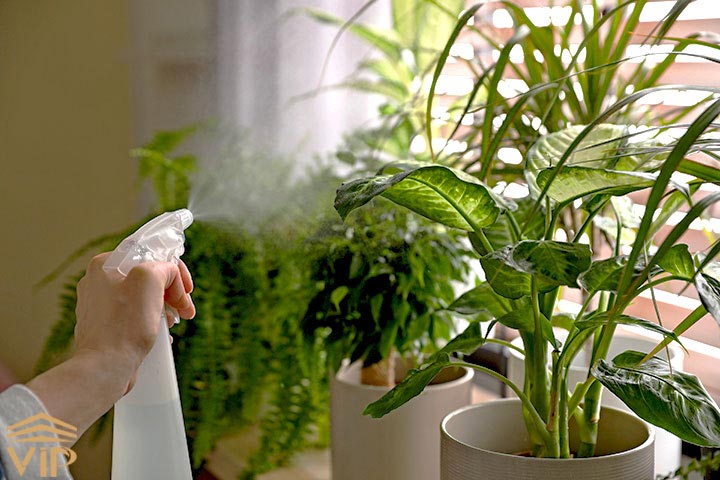 غبار پاشی به عنوان ساده‌ترین روش تامین رطوبت گیاهان