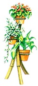 نمایش عمودی گیاهان- گلفروشی آنلاین VIP Shop