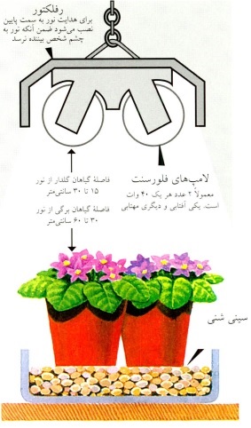 مصنوعی گلفروشی آنلاین VIP Shop نور مصنوعی- گلفروشی آنلاین VIP Shop