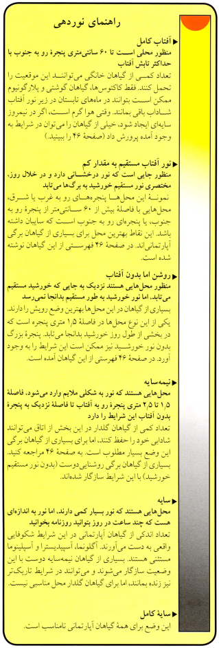 مورد نیاز گیاهان آپارتمانی گلفروشی آنلاین VIP Shop نور مورد نیاز گیاهان آپارتمانی- گلفروشی آنلاین VIP Shop