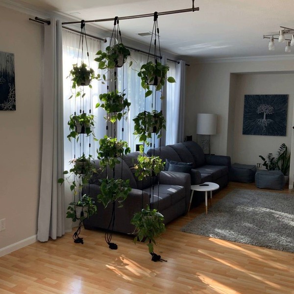 جدا کردن دو قسمت از فضای خانه با گیاهان