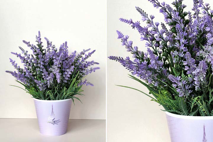  گیاه آپارتمانی اسطوخودوس (Lavender)