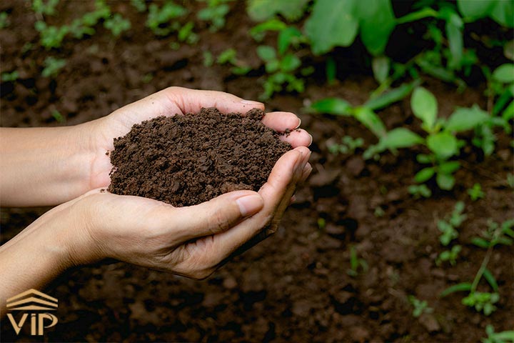  انتخاب خاک مناسب برای خانه جدید گیاه