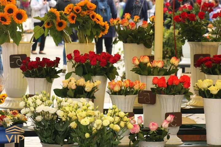 Different flowers گل های گوناگونی باید تهیه شود تا گلفروشی زیبا شود.