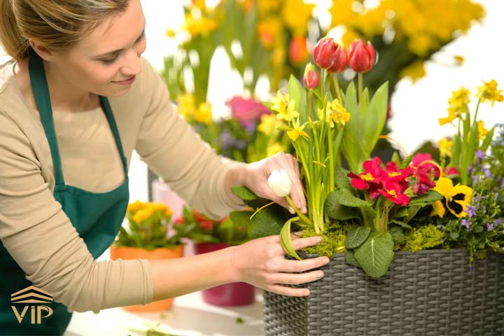 florist یک گل فروش باید دارای مهارت کنتزل هوش هیجانی باشد.
