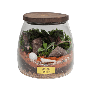 terrarium