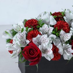 جعبه گل شماره 03