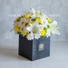 جعبه گل شماره 47