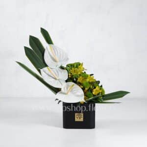 باکس گل آنتوریوم آلسترومریا با برگ شمشیری - گلفروشی آنلاین VIP Shop