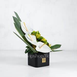 باکس گل آنتوریوم آلسترومریا با برگ شمشیری - گلفروشی آنلاین VIP Shop