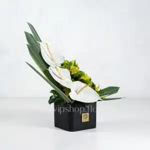 باکس گل آنتوریوم آلسترومریا با برگ شمشیری - گلفروشی آنلاین VIP Shop