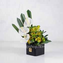 باکس گل آنتوریوم آلسترومریا با برگ شمشیری - گلفروشی آنلاین VIP Shop
