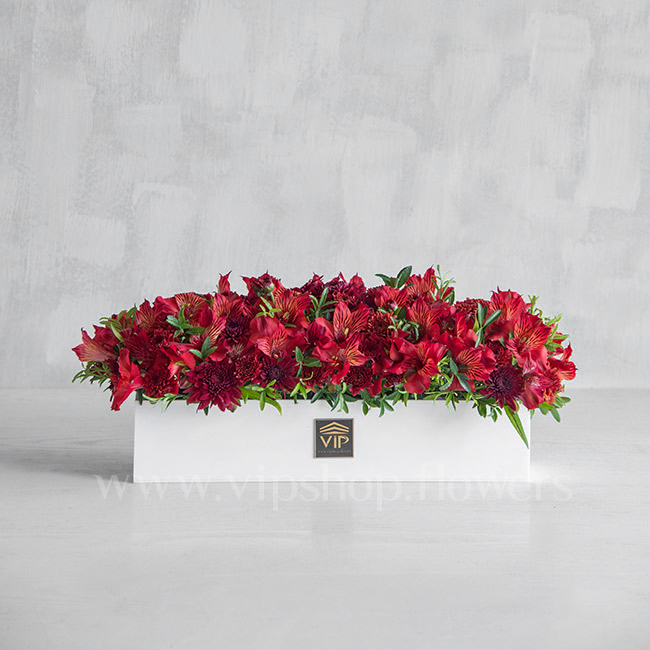 جعبه گل داوودی آلسترومریا قرمز - گلفروشی آنلاین VIP Shop