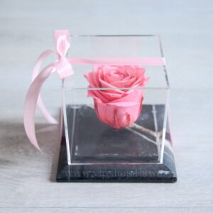 رز جاودان فانتزی