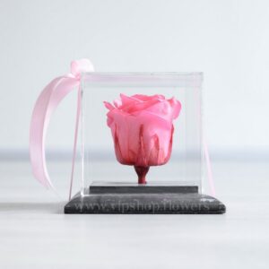 رز جاودان فانتزی