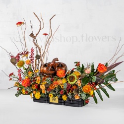 باکس گل Halloween ابعاد چشمگیری دارد.