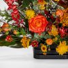 گل های باکس گل Halloween بسیار تازه است.