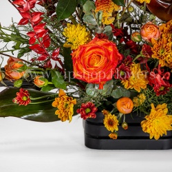 گل های باکس گل Halloween بسیار تازه است.