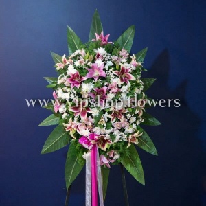 تاج گل T24