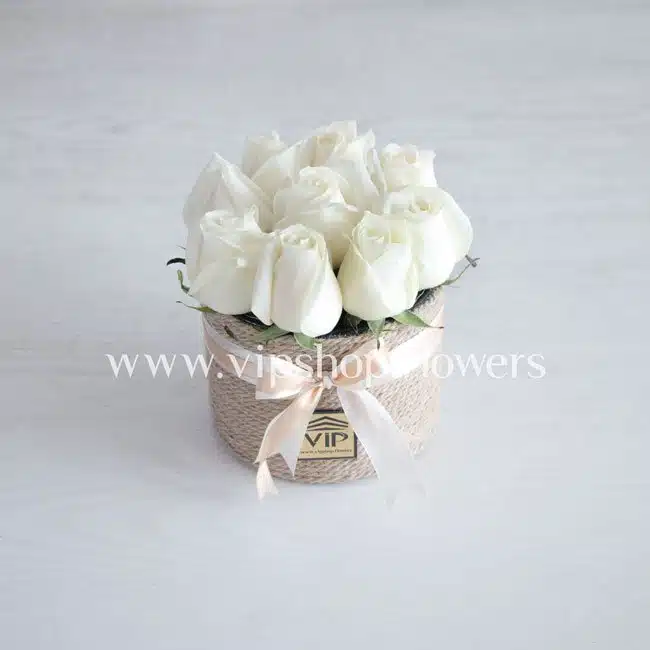 جعبه گل شماره ۱۱
