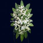 تاج گل پایه دار شماره ۰۵