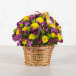 باکس گل K069 آلستر داوودی - گلفروشی آنلاین VIP Shop