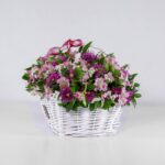 سبد گل آلسترومریا (10)