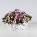 سبد گل آلسترومریا (15)