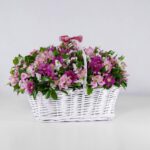 سبد گل آلسترومریا (19)