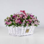 سبد گل آلسترومریا (34)