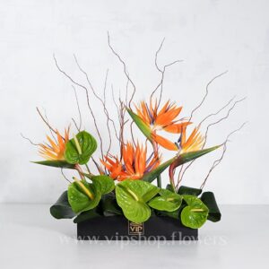 باکس گل مشکی پلکسی آنتوریوم استرلیتزیا - گلفروشی آنلاین VIP Shop