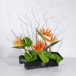 باکس گل مشکی پلکسی آنتوریوم استرلیتزیا - گلفروشی آنلاین VIP Shop