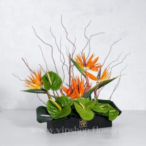 باکس گل مشکی پلکسی آنتوریوم استرلیتزیا - گلفروشی آنلاین VIP Shop