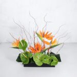 باکس گل مشکی پلکسی آنتوریوم استرلیتزیا - گلفروشی آنلاین VIP Shop