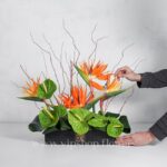 باکس گل مشکی پلکسی آنتوریوم استرلیتزیا - گلفروشی آنلاین VIP Shop