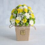 جعبه گل شماره ۶۶