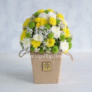 جعبه گل شماره ۶۶