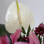 باکس گل B69 - Image 2