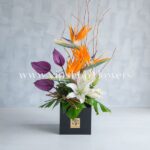 جعبه گل شماره 73