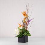 جعبه گل فانتزی استرلیتزیا (13) - VIP Shop