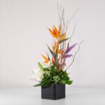 جعبه گل فانتزی استرلیتزیا (14) - VIP Shop