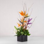 جعبه گل فانتزی استرلیتزیا (15) - VIP Shop