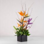 جعبه گل فانتزی استرلیتزیا (16) - VIP Shop