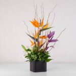 جعبه گل فانتزی استرلیتزیا (17) - VIP Shop