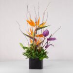 جعبه گل فانتزی استرلیتزیا (20) - VIP Shop