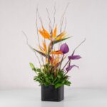 جعبه گل فانتزی استرلیتزیا (21) - VIP Shop